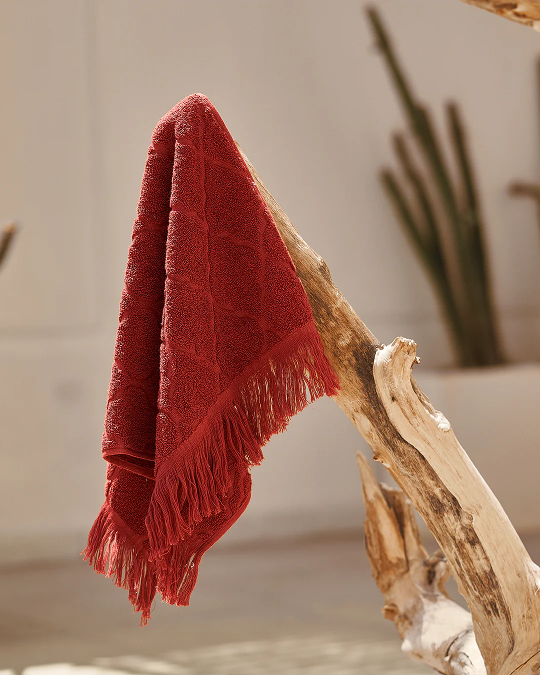 صورة مصغرة 3