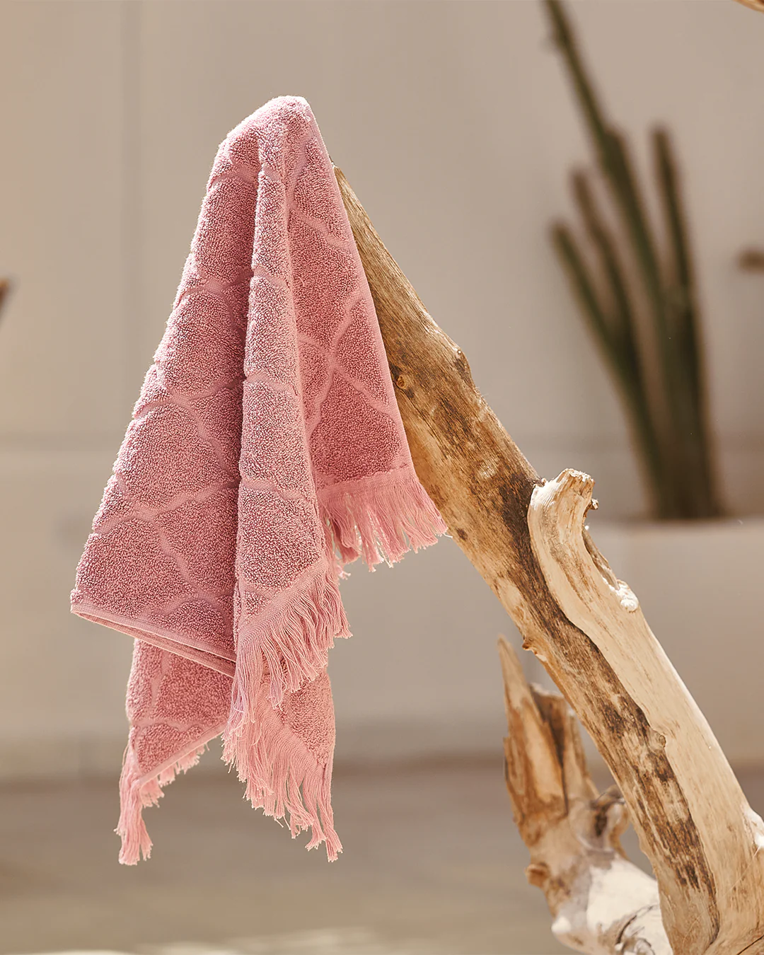 صورة مصغرة 4