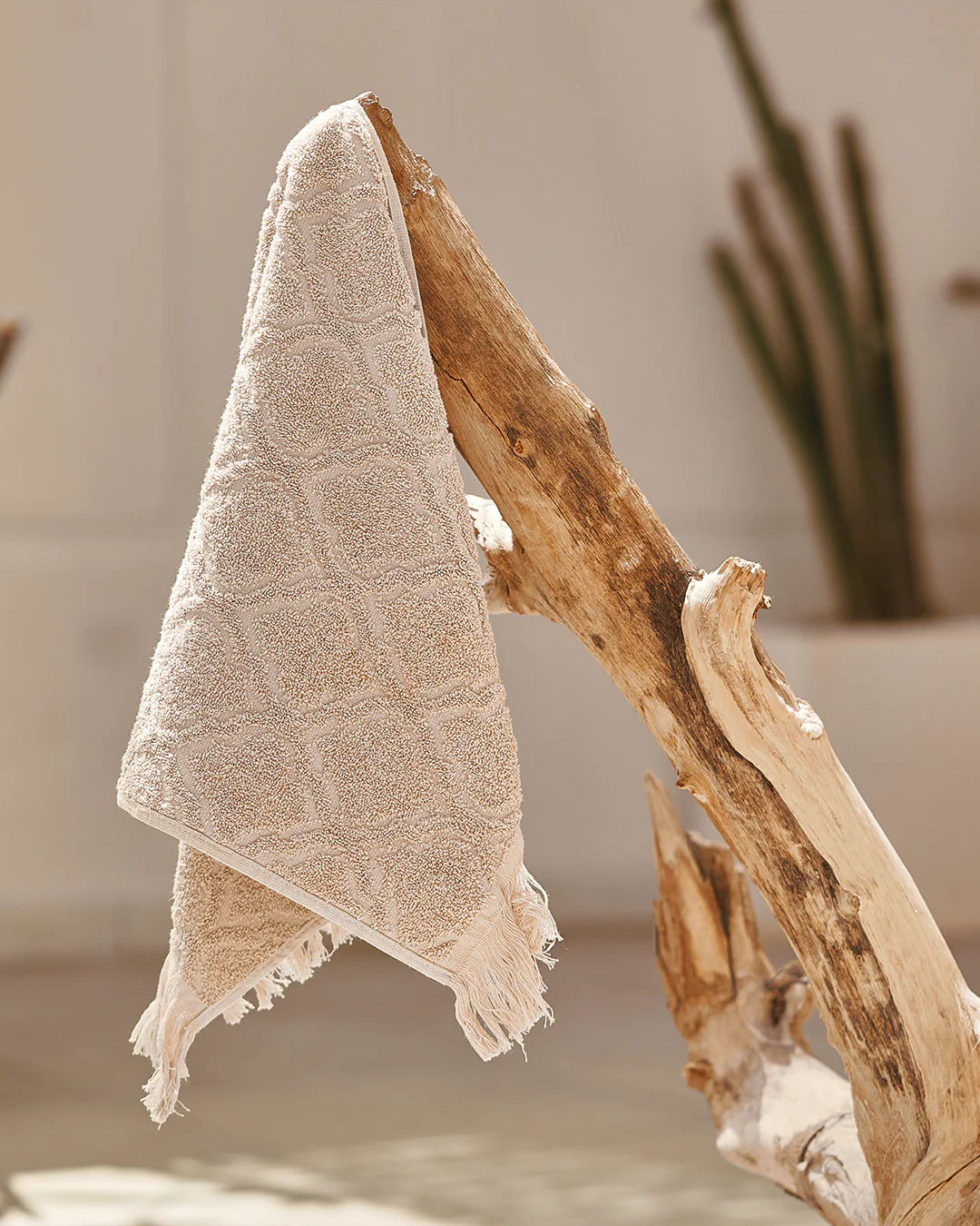 صورة مصغرة 5