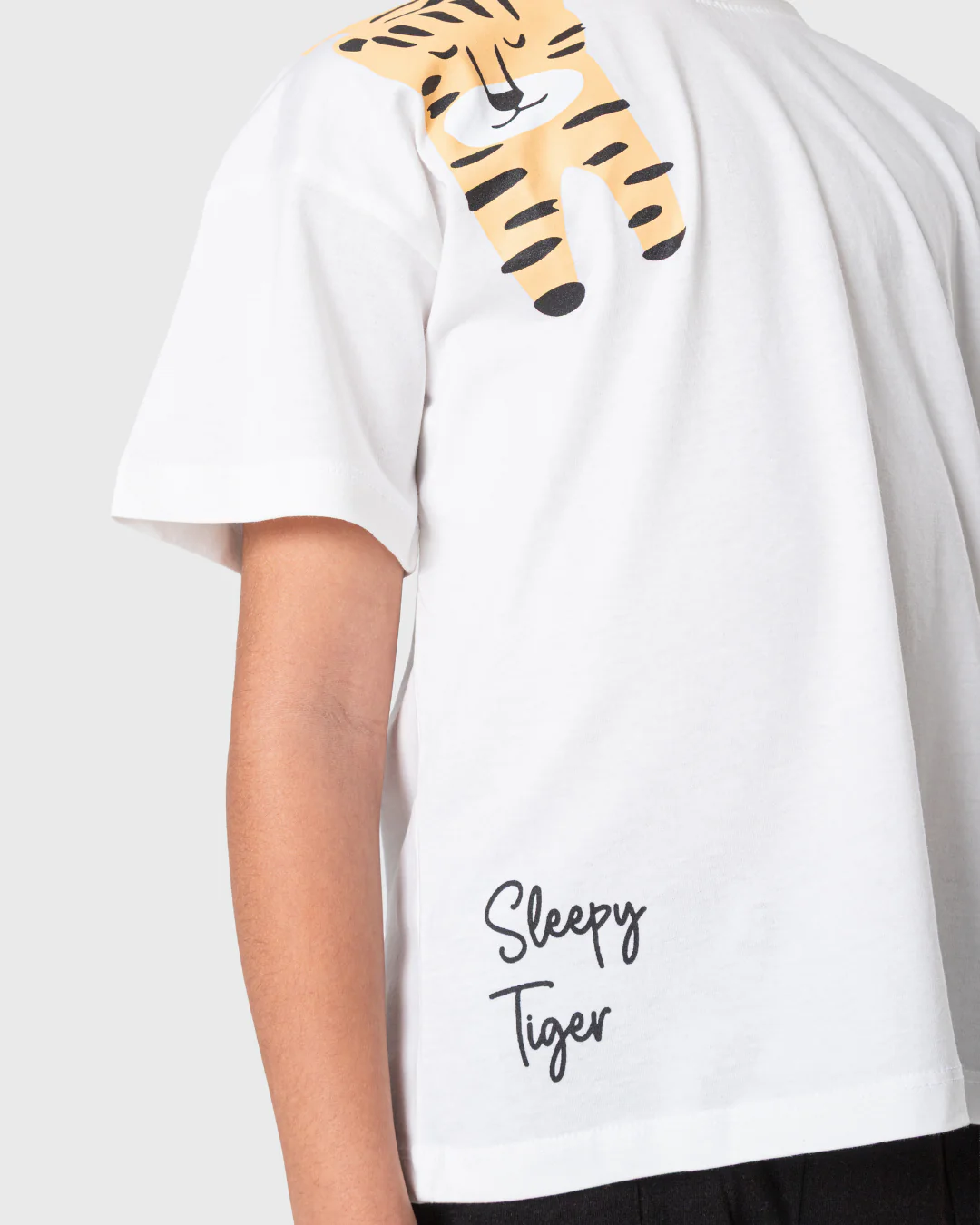 صورة مصغرة 4